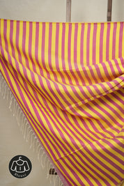 Multicolor Maheshwari Saree - SRMMS925