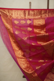 Rani Pink Hanborder Pattu Chanderi Silk Saree - SRRPHPCSS477