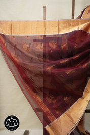 Dark Brown Chanderi Silk Saree - SRDBCSS511