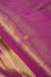 Rajnandini Tissue Silk Paithani Saree - Saavari - SSRTSPS01