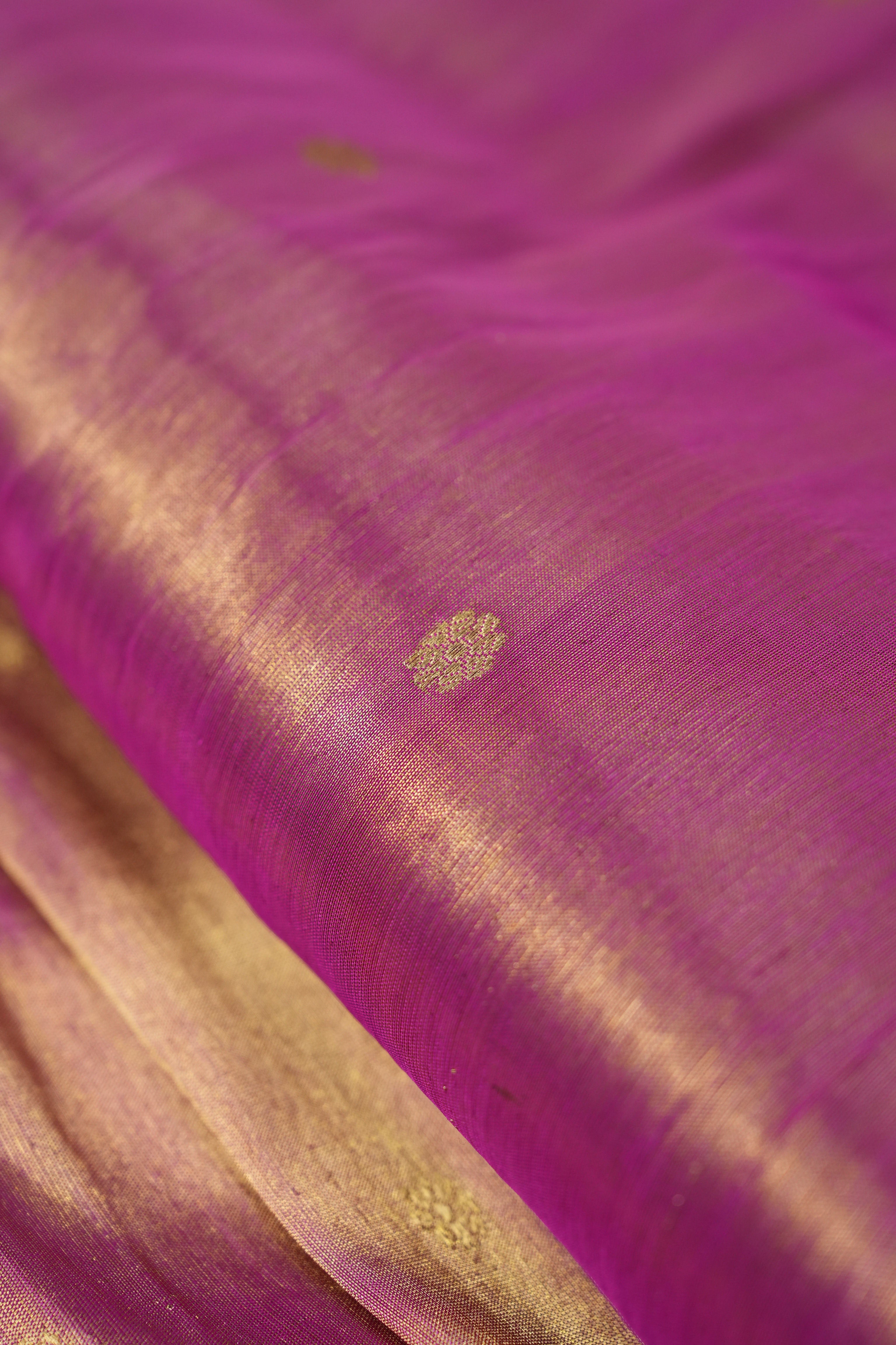 Rajnandini Tissue Silk Paithani Saree - Saavari - SSRTSPS01