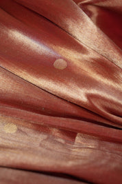 Rajlekha Tissue Silk Paithani Saree - Saavari - SSRTSPS02