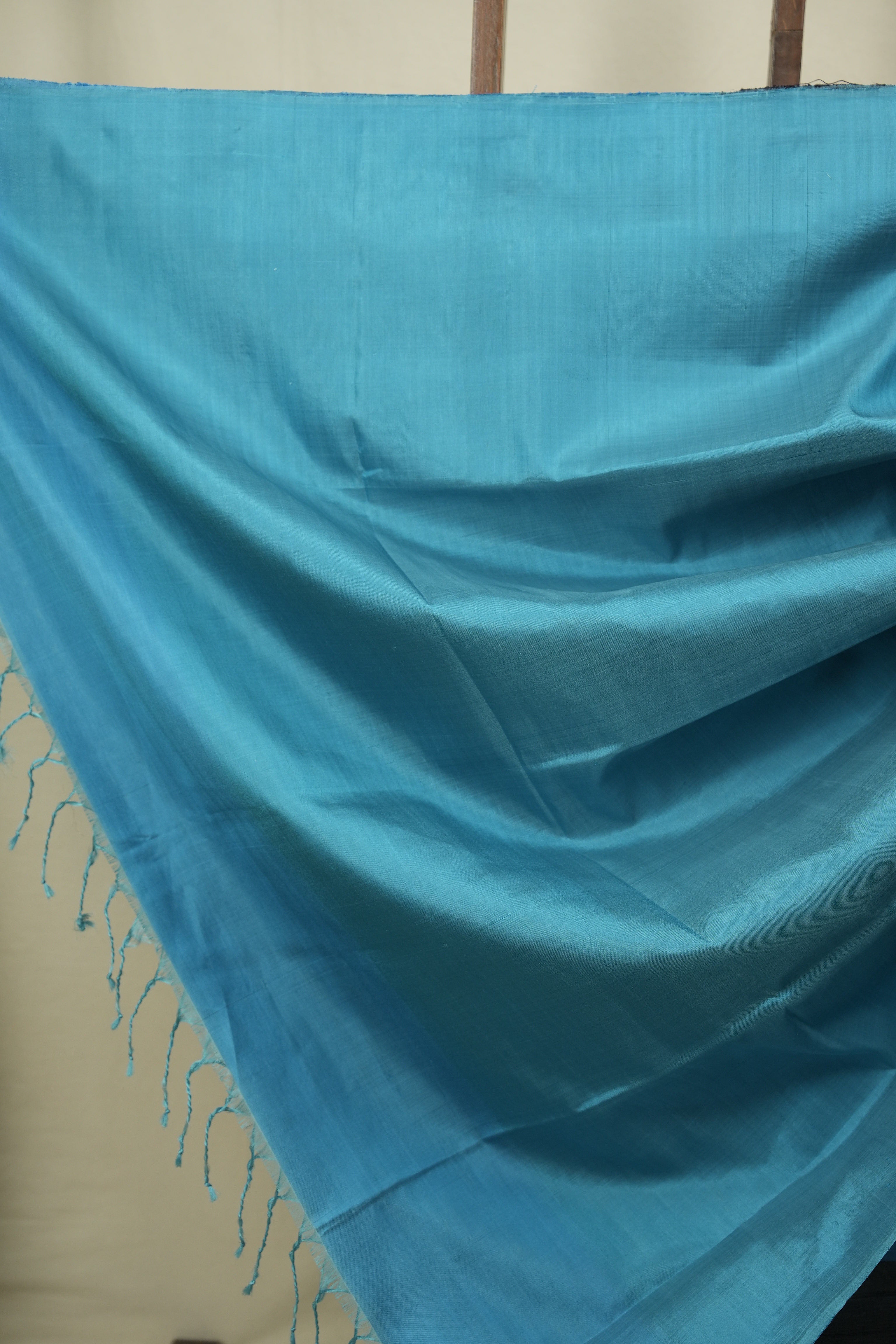 Sky Blue - Brown Soft Silk Saree - SRSBBSSS469