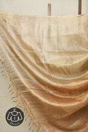 Brown Yellow Tissue Tussar Silk Saree - SRBYTTSS596