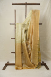 Olive Brown Tissue Tussar Silk Saree - SROBTTSS593