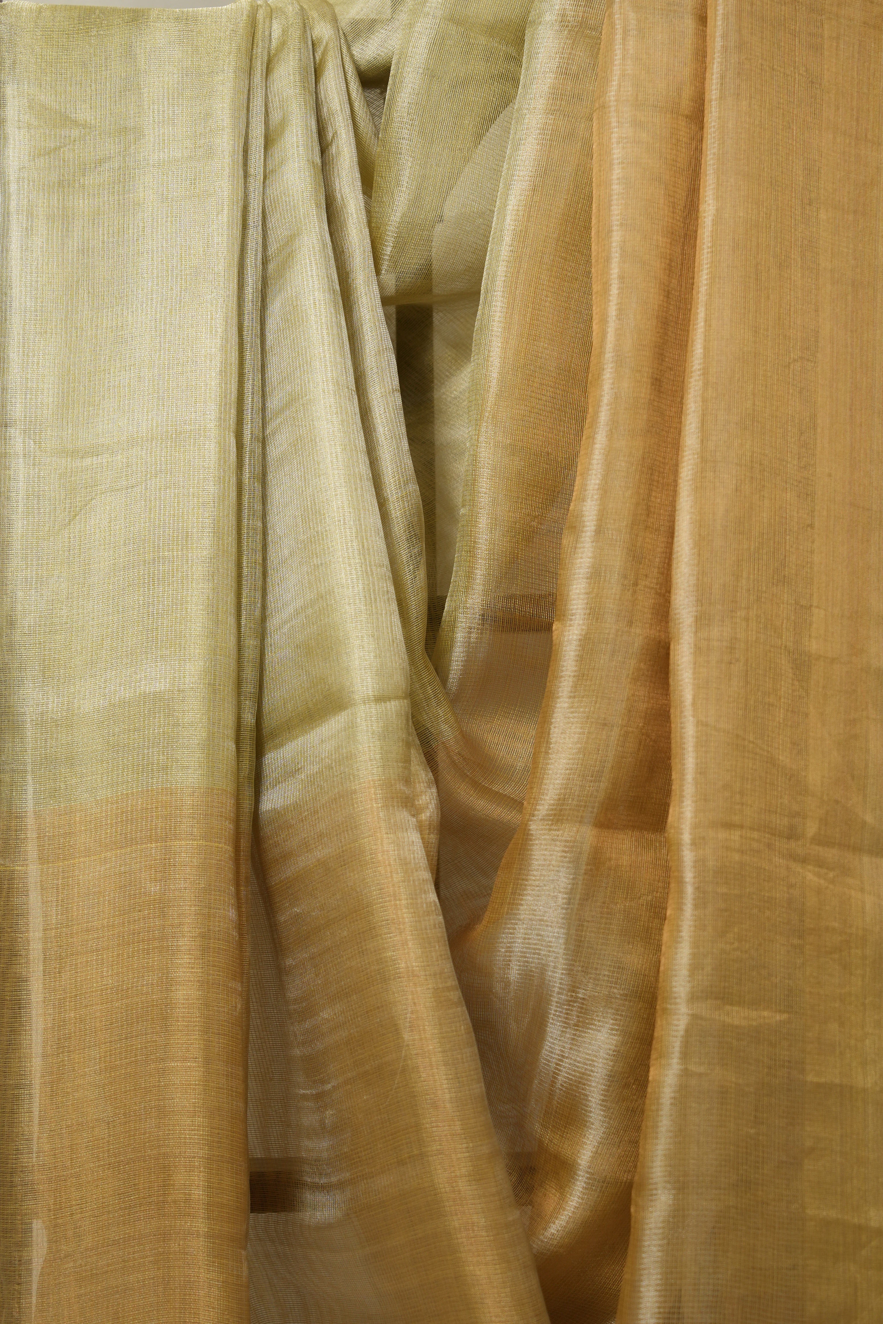 Olive Brown Tissue Tussar Silk Saree - SROBTTSS593