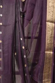 Violet Tissue Banarasi Silk Saree - SRVTBSS50