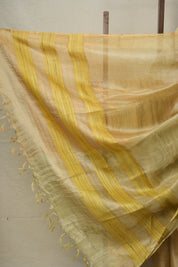 Olive Brown Tissue Tussar Silk Saree - SROBTTSS593