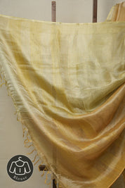 Olive Brown Tissue Tussar Silk Saree - SROBTTSS593