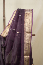 Violet Tissue Banarasi Silk Saree - SRVTBSS50