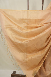 Peach Maheshwari Tissue Saree - SRPMTS747