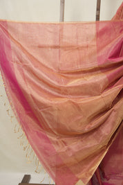 Rani Pink Maheshwari Tissue Saree - SRRPMTS746