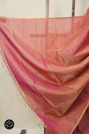 Rani Pink Maheshwari Tissue Saree - SRRPMTS746