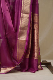 Pink Tissue Banarasi Silk Saree - SRPTBSS54