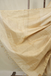 Beige Maheshwari Tissue Saree - SRBMTS743