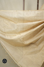 Beige Maheshwari Tissue Saree - SRBMTS743
