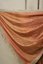 Brick Orange Tussar Silk Saree With Lace - SRBOTSSWL01
