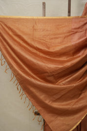 Brick Orange Tussar Silk Saree With Lace - SRBOTSSWL01