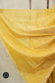 Yellow Maheshwari Tissue Saree - SRYMTS742