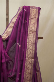 Purple Tissue Banarasi Silk Saree - SRPTBSS52
