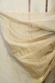 Grey Maheshwari Tissue Saree - SRGMTS740