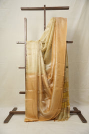 Yellow Gold Tissue Tussar Silk Saree - SRYGTTSS579