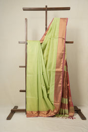 Pista Green Maheshwari Tissue Saree - SRPGMTS300