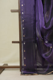 Violet Tissue Banarasi Silk Saree - SRVTBSS64