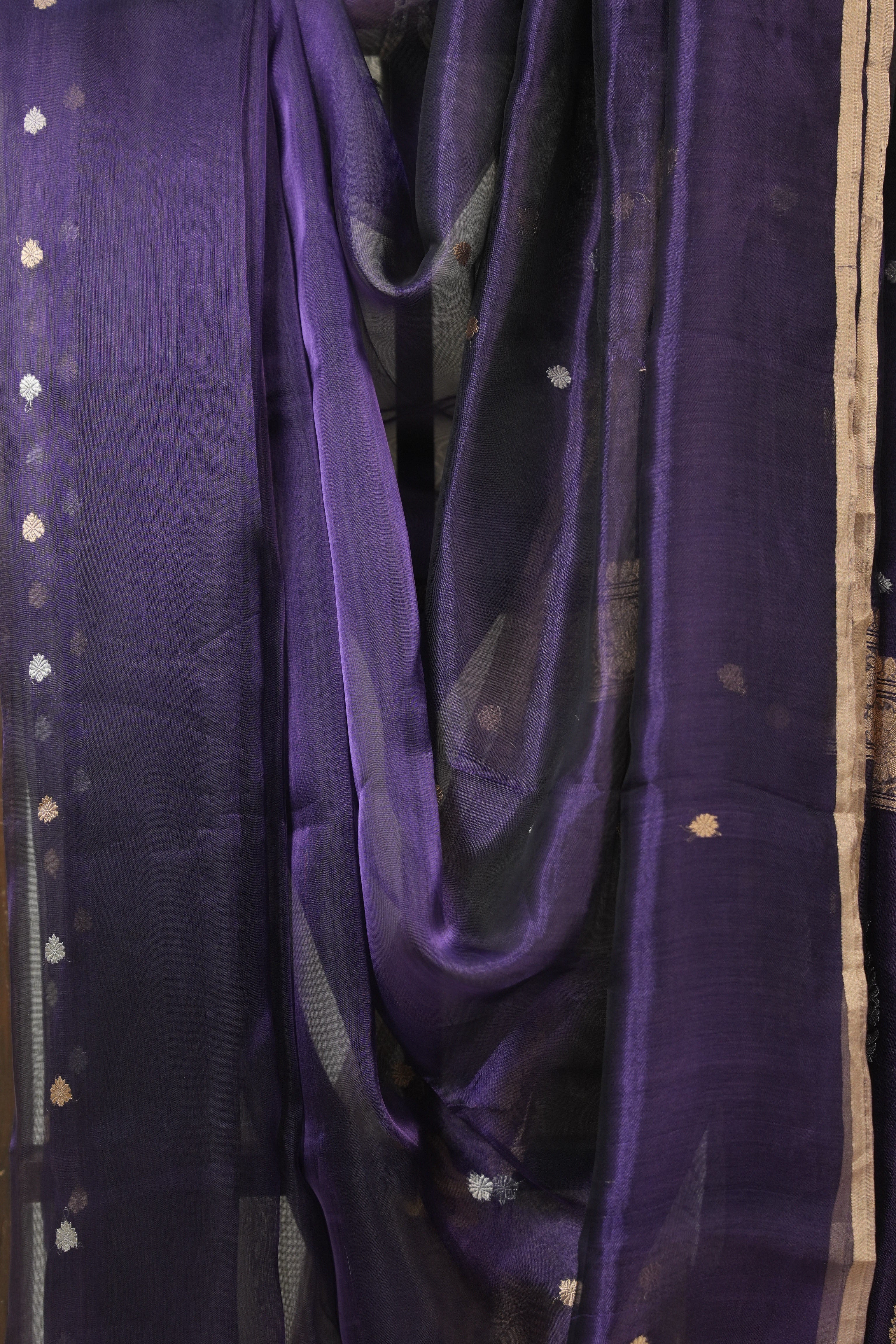 Violet Tissue Banarasi Silk Saree - SRVTBSS64