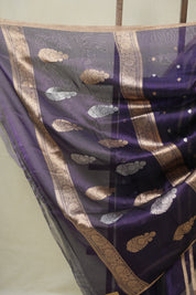 Violet Tissue Banarasi Silk Saree - SRVTBSS64