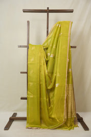Neon Green Tissue Banarasi Silk Saree - SRNGTBSS68