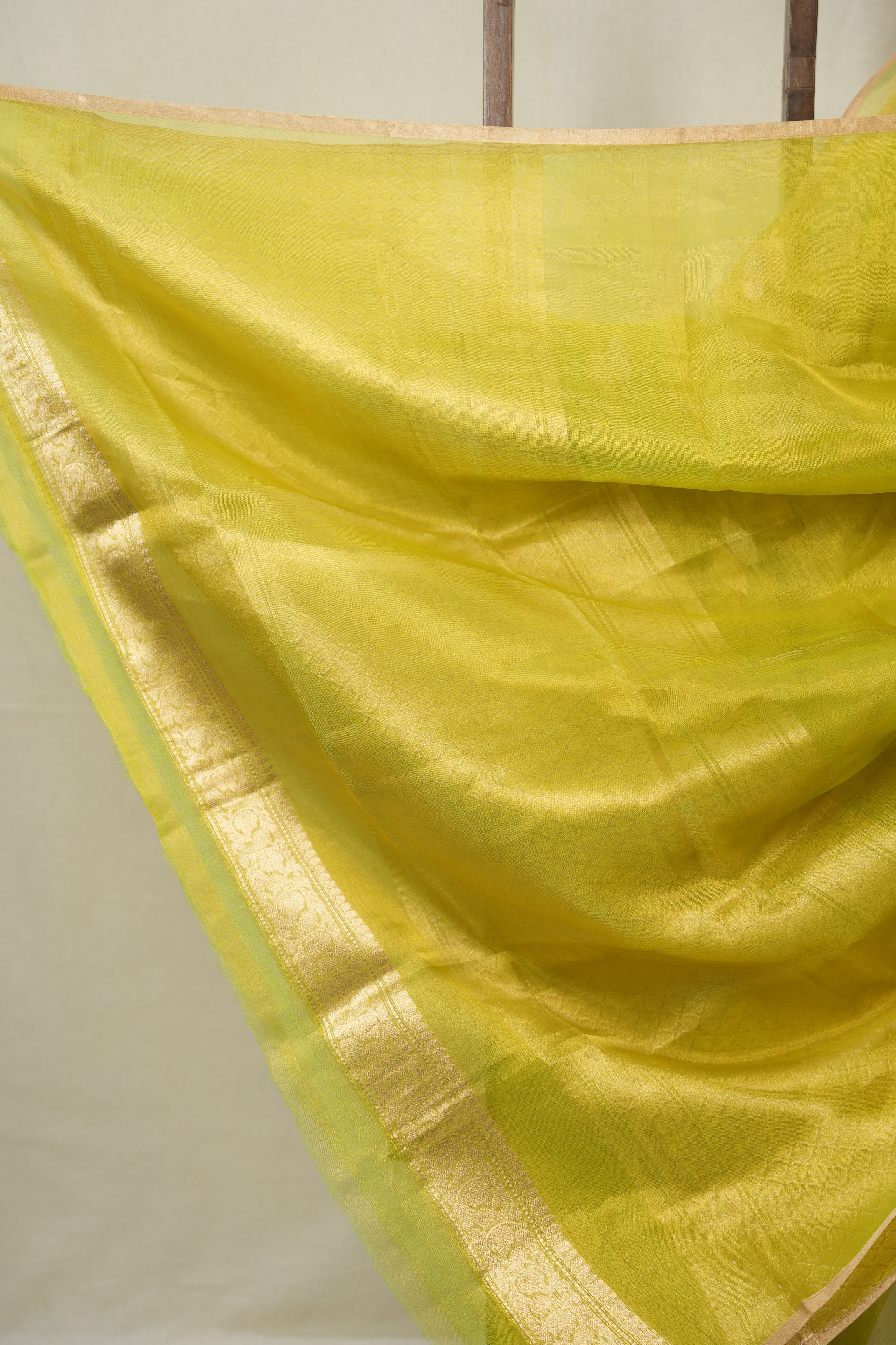 Neon Green Tissue Banarasi Silk Saree - SRNGTBSS68