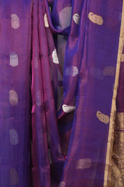 Purple Tissue Banarasi Silk Saree - SRPTBSS62