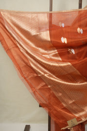 Rust Orange Tissue Banarasi Silk Saree - SRROTBSS66