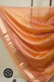 Two Tone Pink Tissue Banarasi Silk Saree - SRTTPTBSS67