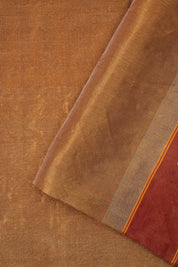 Rust Tissue Cotton Paithani Saree - Saavari -  SSRTCPSS03