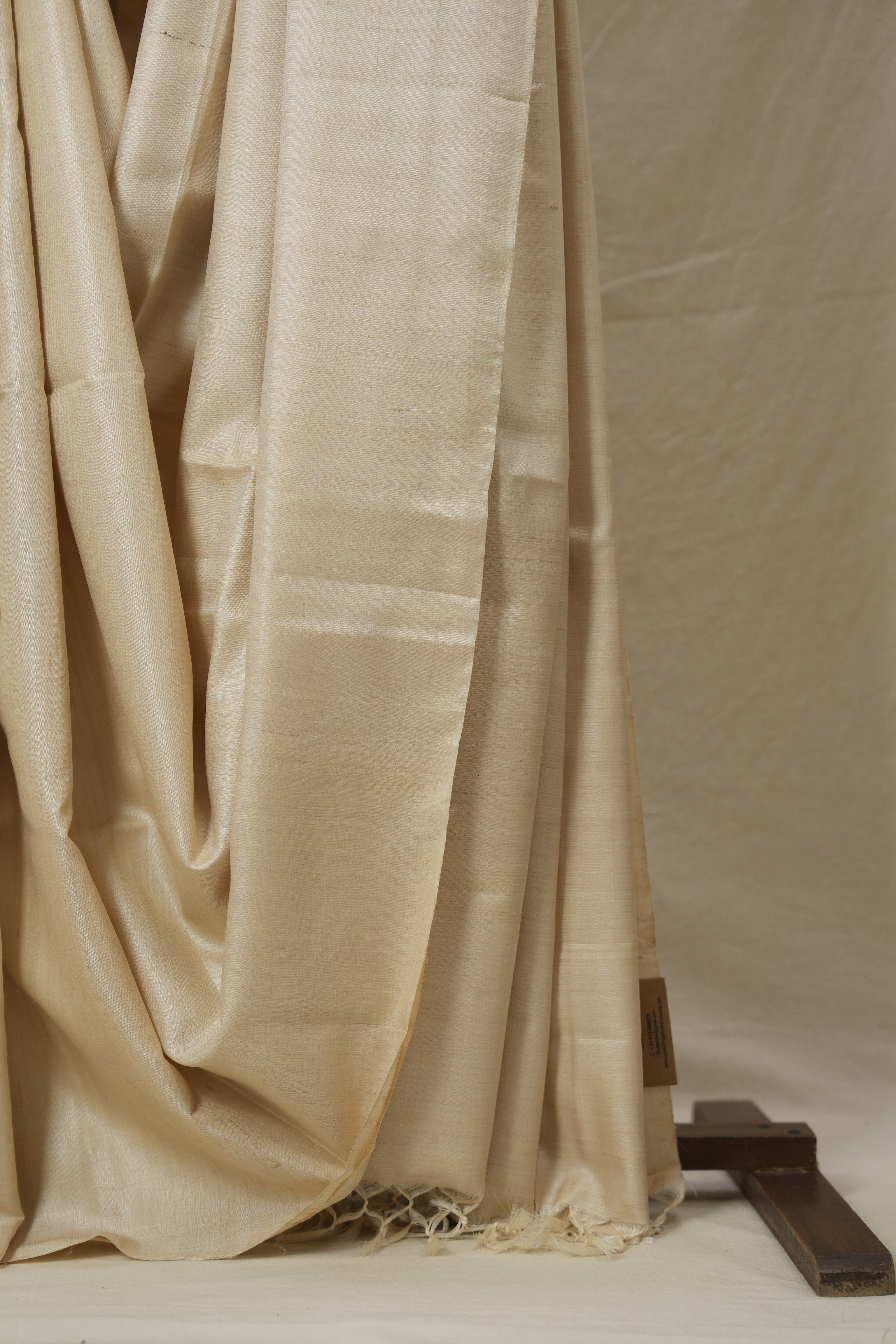 Beige Tussar Silk Saree - SRBTSS1769