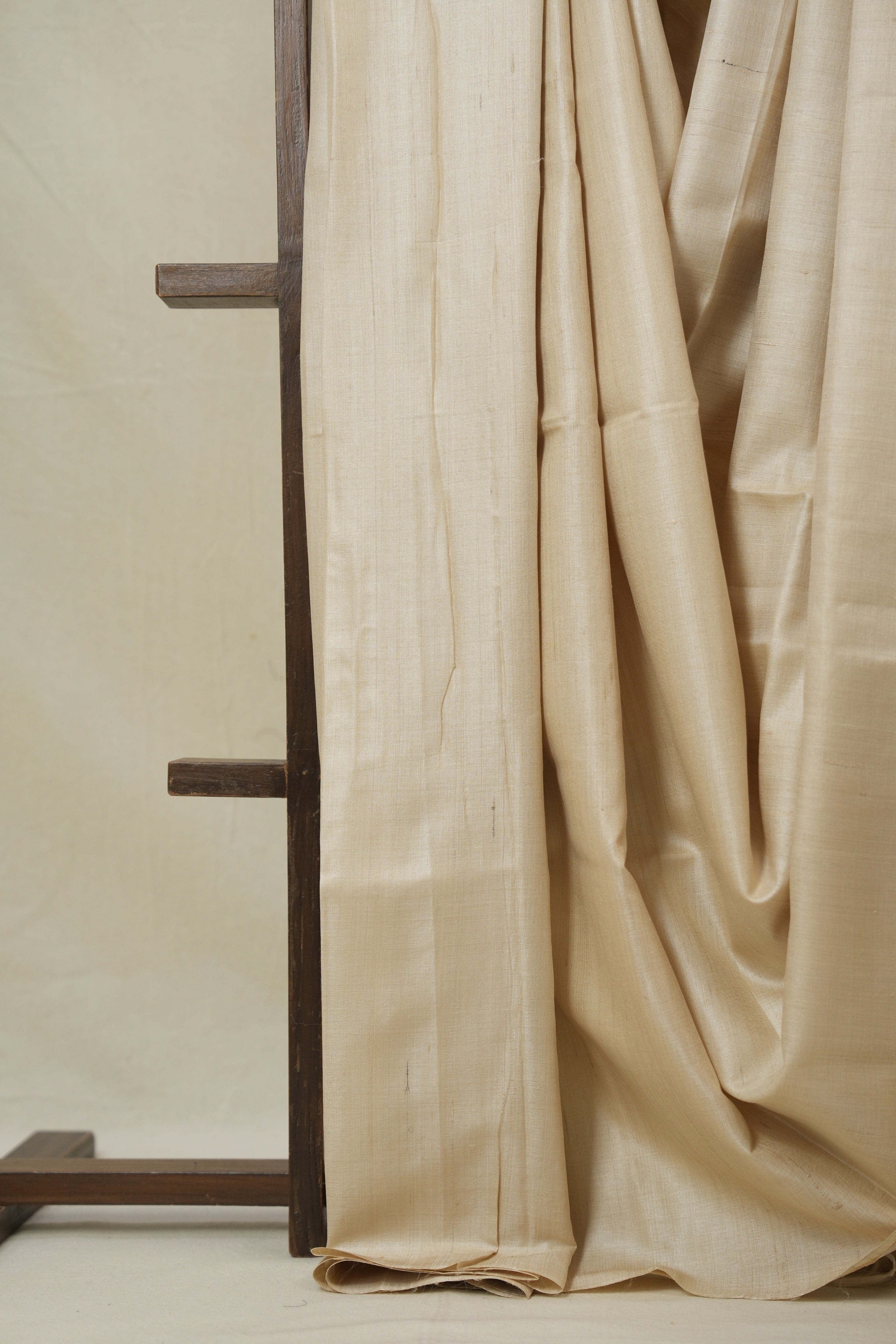 Beige Tussar Silk Saree - SRBTSS1769