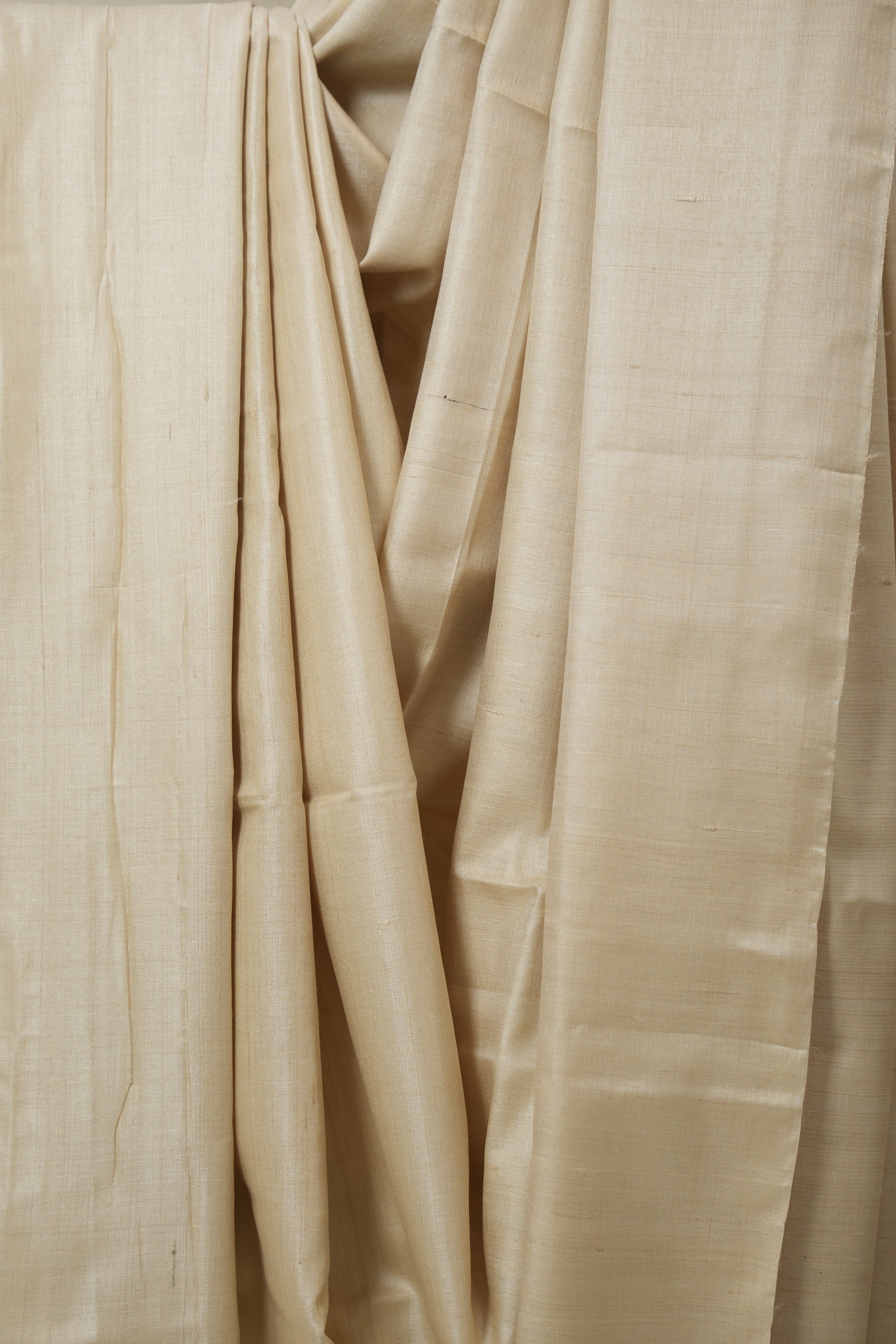 Beige Tussar Silk Saree - SRBTSS1769