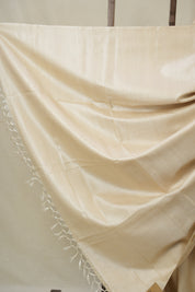 Beige Tussar Silk Saree - SRBTSS1769