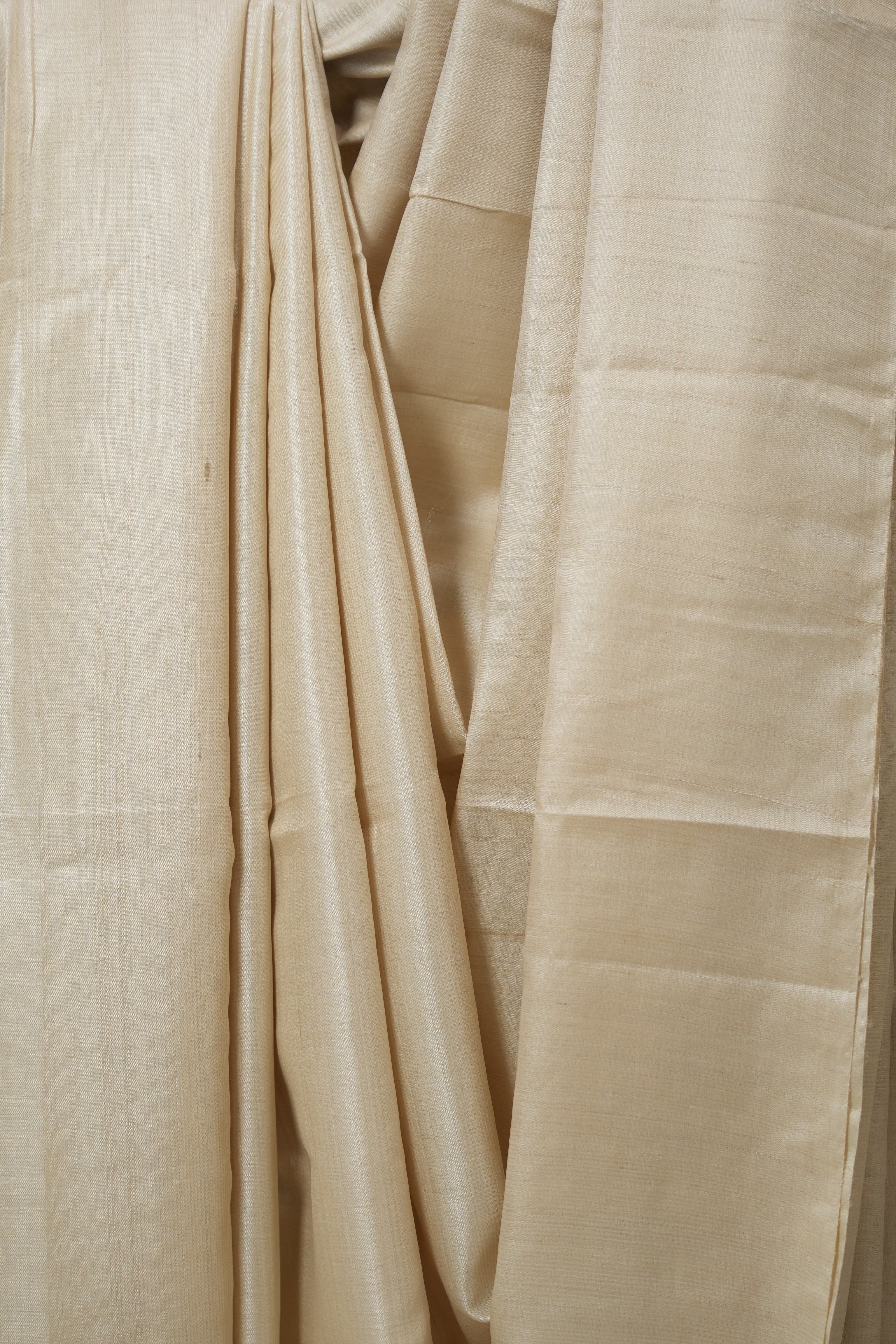 Beige Tussar Silk Saree - SRBTSS1768