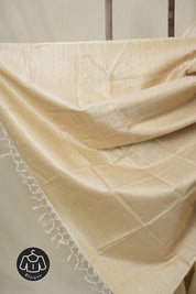 Beige Tussar Silk Saree - SRBTSS1768