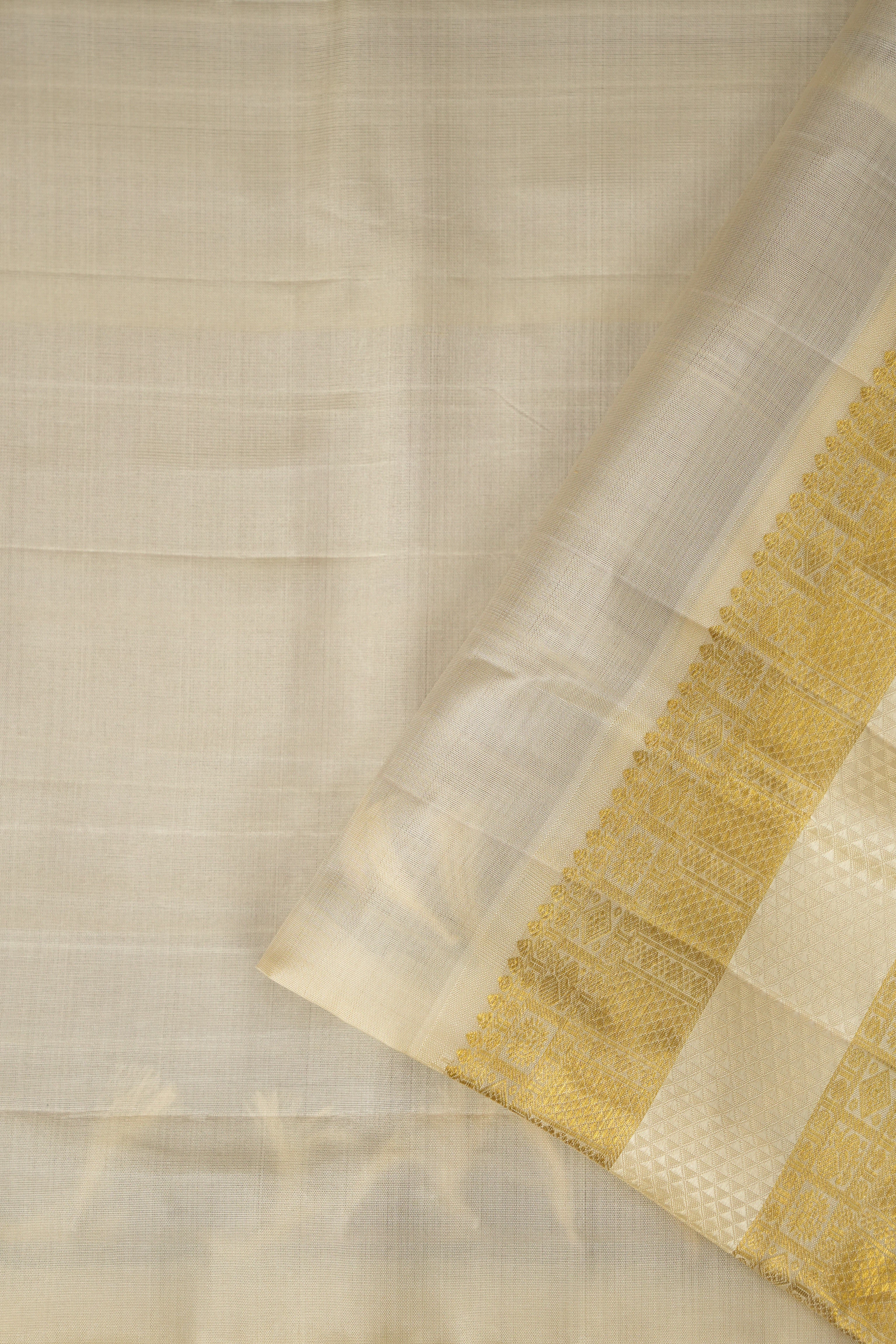 Rajmadhuri Kanjeevaram Silk Saree - Saavari - SSRKSS65