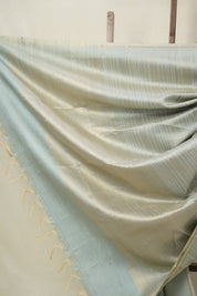 Aqua Blue Raw Silk Saree - SRABRSS965