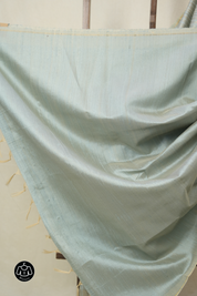 Aqua Blue Raw Silk Saree - SRABRSS965