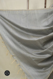 Ash Grey Raw Silk Saree - SRAGRSS967