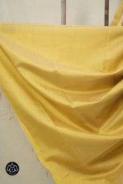 Light Gold Raw Silk Saree - SRLGRSS963