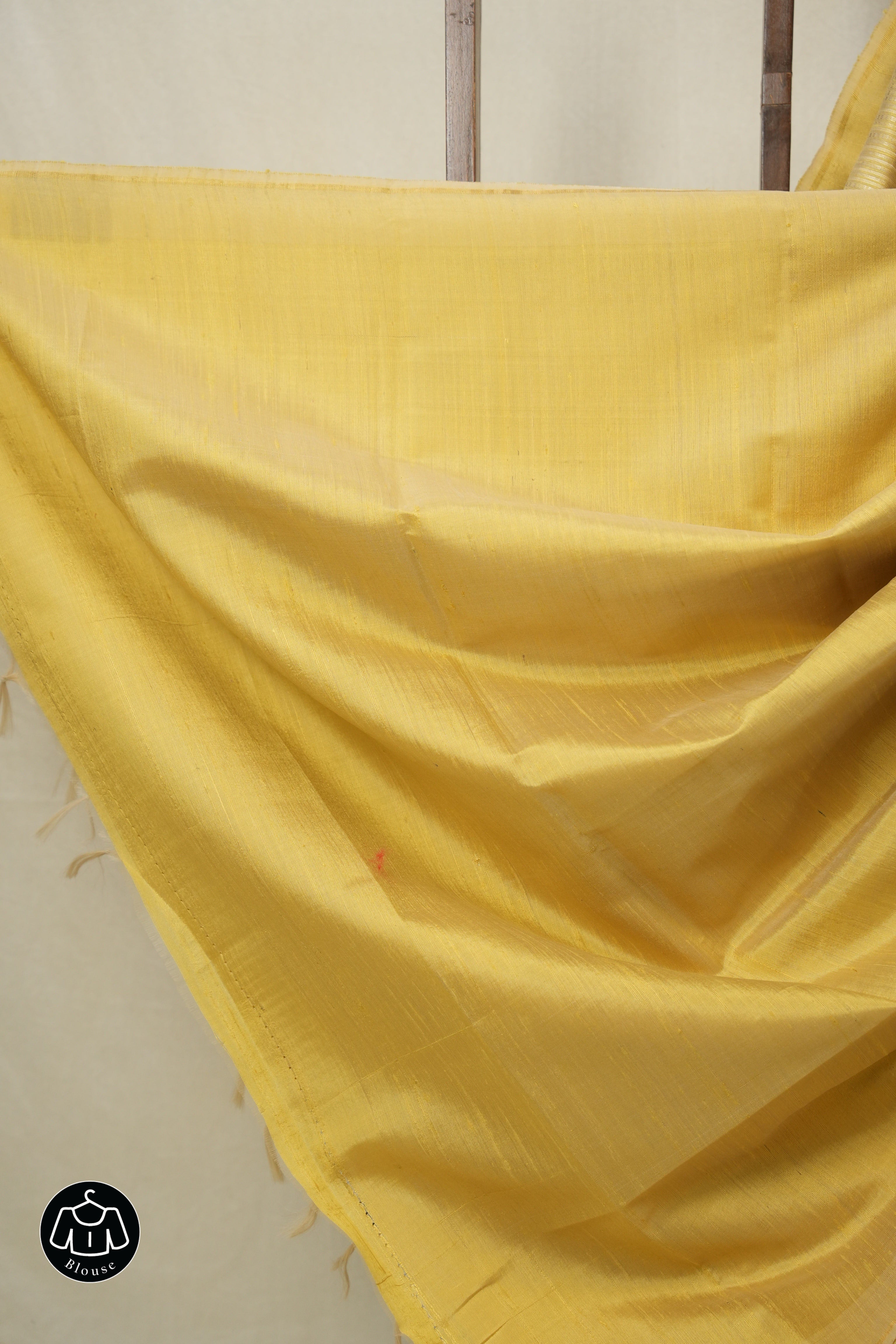 Light Gold Raw Silk Saree - SRLGRSS963