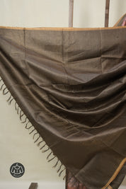 Multicolor Tussar Silk Saree - SRMTSS1755