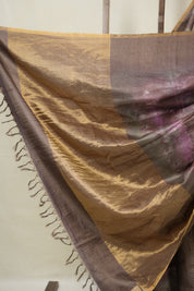 Brown Multicolor Tussar Silk Saree - SRBMTSS1758